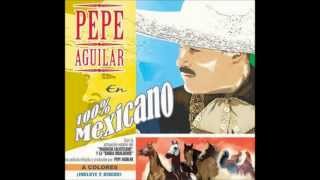 Pepe Aguilar  Fruta Madura Con Letra [upl. by Birkner]