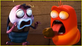 LARVA Season 3 Episode 115  Brown beetle  Best Cartoons 20224  Hilarious Cartoon Compilation [upl. by Gilemette860]