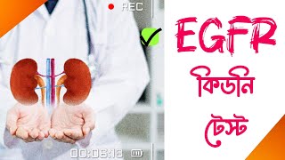 egfr test bangla  egfr test normal range [upl. by Ntsud396]