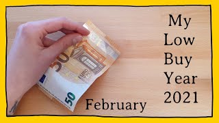 My LowBuy Year  February [upl. by Asyar849]