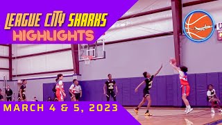 Michaels Highlights from a Basketball Tournament on March 4 amp 5 2023 GSA SEASON OPENER SHOWCASE [upl. by Norra54]