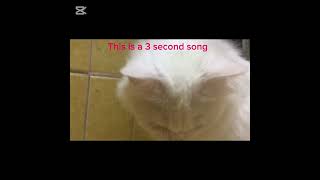 This is a 3 second song trend [upl. by Ydur]