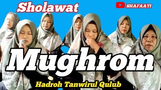 MUGHROM SHOLAWAT HADROH TANWIRUL QULUBshafaati [upl. by Ynoyrb]