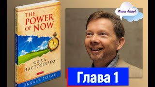 Экхарт Толле  Сила настоящего  Сила момента сейчас  аудиокнига [upl. by Ecirtram]