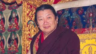 His Holiness MINDROLLING TRICHEN RINPOCHE 2011 [upl. by Cloris]