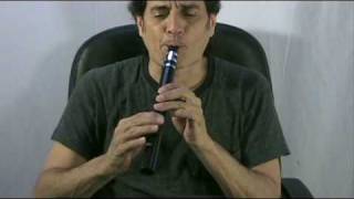 Pocket Clarinet Overview with David Brown WIN161 [upl. by Katina]