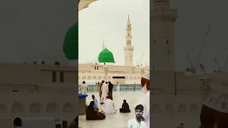 kulli manil ardu waman fiha beautifulmadina loveislamicstatus viralvideo [upl. by Ysteb563]