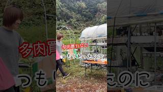 多肉植物イベント！買わないつもりが帰ったらこんなに！？多肉植物 [upl. by Kelley]