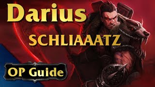 Darius OP Guide SCHLIAAATZ [upl. by Brigette273]