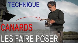 FAIRE POSER LES CANARDS [upl. by Affer]