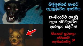 කැමරාවට හසුවූ හොල්මන් Part 18 Paranormal Activity kazzai holman Sinhala film review holman [upl. by Sidwohl]