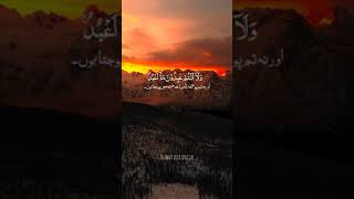 Surah AlKafirun surah surahalkafirun trendingshorts [upl. by Rusticus]