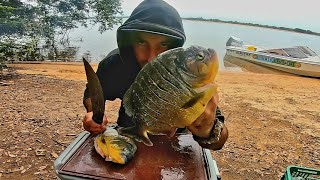 PESCA Y COCINA PIRAÑAS GIGANTES FRITAS Señuelos y carnada pescaria na argentina PESCA URBANA [upl. by Atteuqahc]