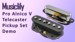 Musiclily Pro Alnico V Telecaster Pickups Review [upl. by Shem171]