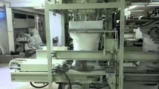 Newlong M Sdn Bhd Auto Bagging Machine Model 3CM6CP4900DS9C [upl. by Eniledgam404]