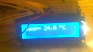 Temperature sensor LM35 on Atmel ATmega8 to LCD [upl. by Morel463]