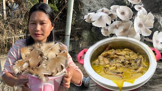 Found Wild eatable mushrooms 🍄‍🟫  Cooking and Eating Delicious Mushrooms recipe [upl. by Alejoa863]