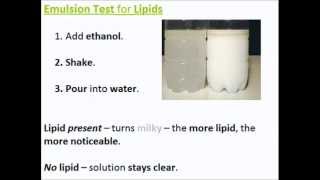 Biochemical Tests for Molecules  A Level AS Biology Revision [upl. by Tynan]