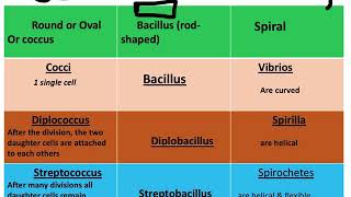 Botany  Eubacteria amp Archaebacteria [upl. by Wilda]