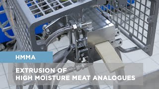 Extrusion of HMMA High Moisture Meat Analogues [upl. by Merrie]