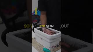 How to use Paraffin Wax Bath ⚠️ [upl. by Pliam129]