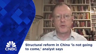 Structural reform in China is not going to come analyst says [upl. by Wood]