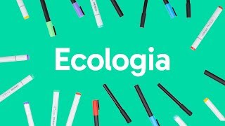 ECOLOGIA CADEIA ALIMENTAR BIOMAS E RELAÇÕES ECOLÓGICAS  QUER QUE DESENHE [upl. by Gothar]