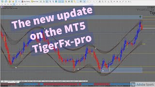 Best MT5 Trading System Indicators 2021just get updated100 super [upl. by Ardnasirhc]