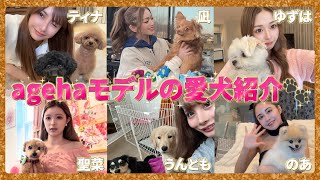 愛しすぎてごめん♡私たちagehaモデルの愛犬紹介！🐶 [upl. by Persson]