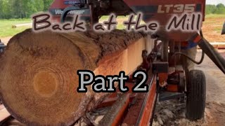 Ep40 back to the mill part 2 sawing yellow pine 12x6 running the lt35 wood Mizer [upl. by Ecirtap]