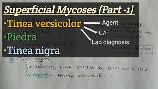 Superficial Mycosis Part1  Tinea versicolor  Piedra  Tinea nigra [upl. by Cosma941]