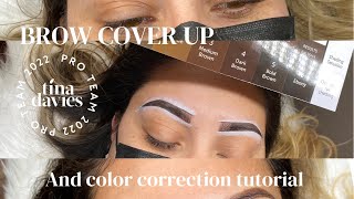 Microblading Cover Up amp Color Correction Tutorial [upl. by Sedda20]