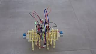 Steerable Remote Controlled Strandbeest [upl. by Aylsworth440]