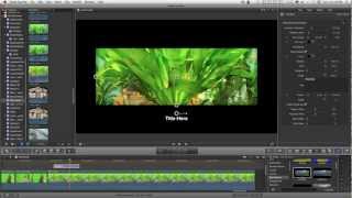 FCPX Title Cinebox — Colorize and Animate your Letter Boxing and Pillar Boxing effect [upl. by Oibesue227]