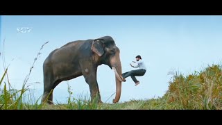 Yash Tamed Arrogant Elephant in Forest  Beautiful Scene From Gajakesari Kannada Movie [upl. by Rennie]