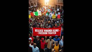 Release Nnamdi Kanu  Freedom Fighter  Justice for Biafra Leader  Human Rights Appeal [upl. by Nelehyram715]