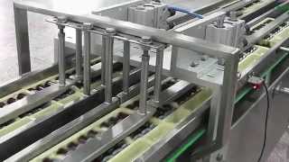 Integrated 600 ppm Ampoule amp Vials Packaging Line by Pharmapack [upl. by Ecraep]