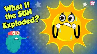 What If The Sun Exploded  Sun Explosion  The Dr Binocs Show  Peekaboo Kidz [upl. by Auhsej]