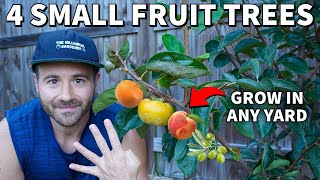 4 AMAZING Fruit Trees People With SMALL YARDS Can Grow [upl. by Aicatsal334]