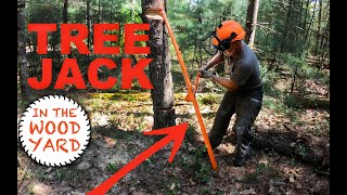 344  Tree Jack Norwood Timber Tool and Directional Felling [upl. by Alyk]