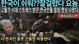 해외감동사연 한국이 쉬워서 돈벌러 왔다가 죽을뻔한 미국 흑인 유튜버 [upl. by Stephi]