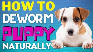 How To Deworm a Puppy Naturally – Best Home Remedies Hacks  Smart Dog Mom [upl. by Allsun]