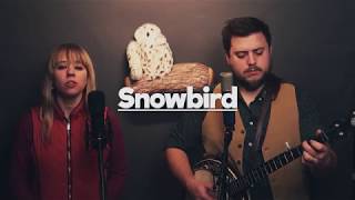 Snowbird ❄️🐦Anne Murray Cover  ZaggieWednesdays [upl. by Blunk]