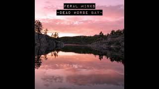 Feral Minks  Dead Horse Bay [upl. by Filiano]