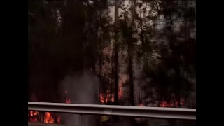 Wildfires In Australia Continue To Burn Out Of Control [upl. by Ahsieka981]