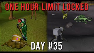 Who needs bots when you have a cannon  S1 E35  OSRS [upl. by Gebelein]