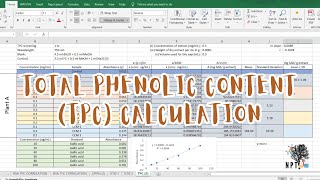 Total Phenolic Content TPC Calculation in Microsoft Excel  StepbyStep Beginner Tutorial [upl. by Tamera]