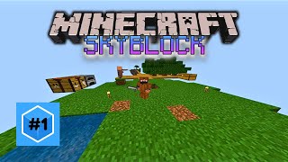 MINECRAFT SKYBLOCK IN CUBECRAFT EP1 [upl. by Nnylidnarb]