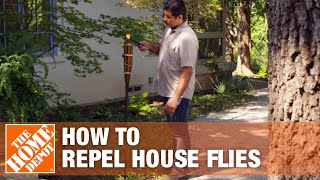 How to Keep Flies Away and Prevent Flies in Your House [upl. by Nerland]