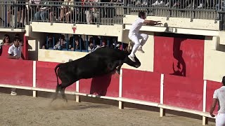 LE GRAU DU ROI  1ère JOURNÉE DU TROPHÉE DE LA MER  ROYALE DE LA MANADE CUILLÉ le 12092024 [upl. by Nnylf]